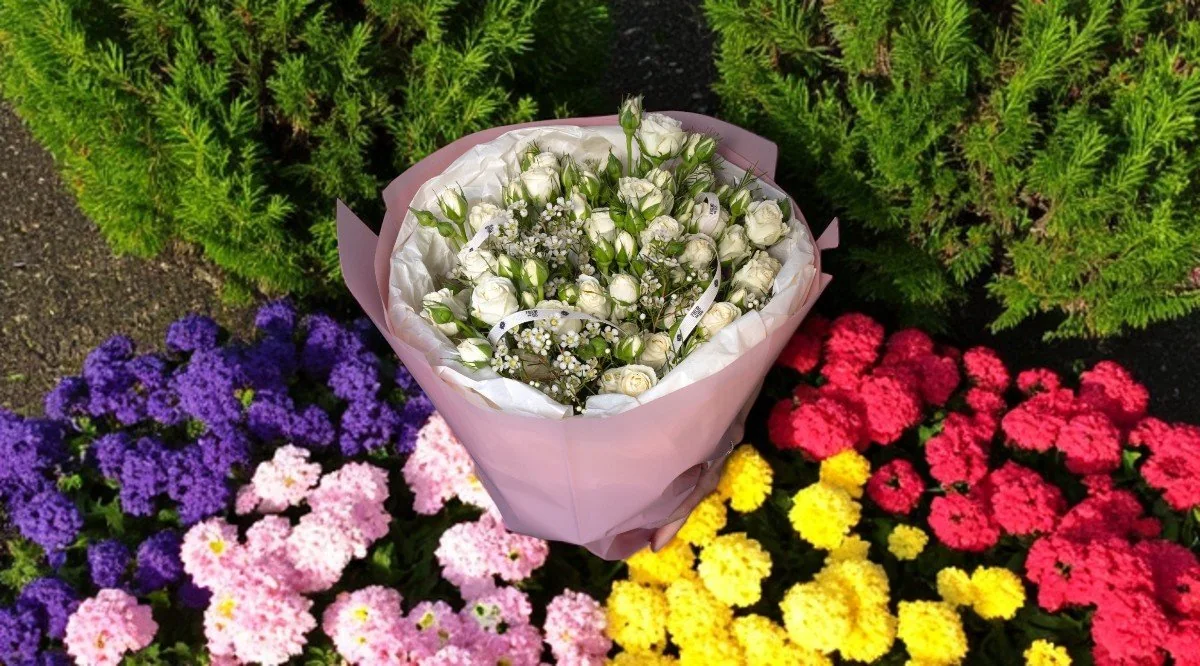 «Minimal Bloom» — белые кустовые розы на фоне цветочной клумбы