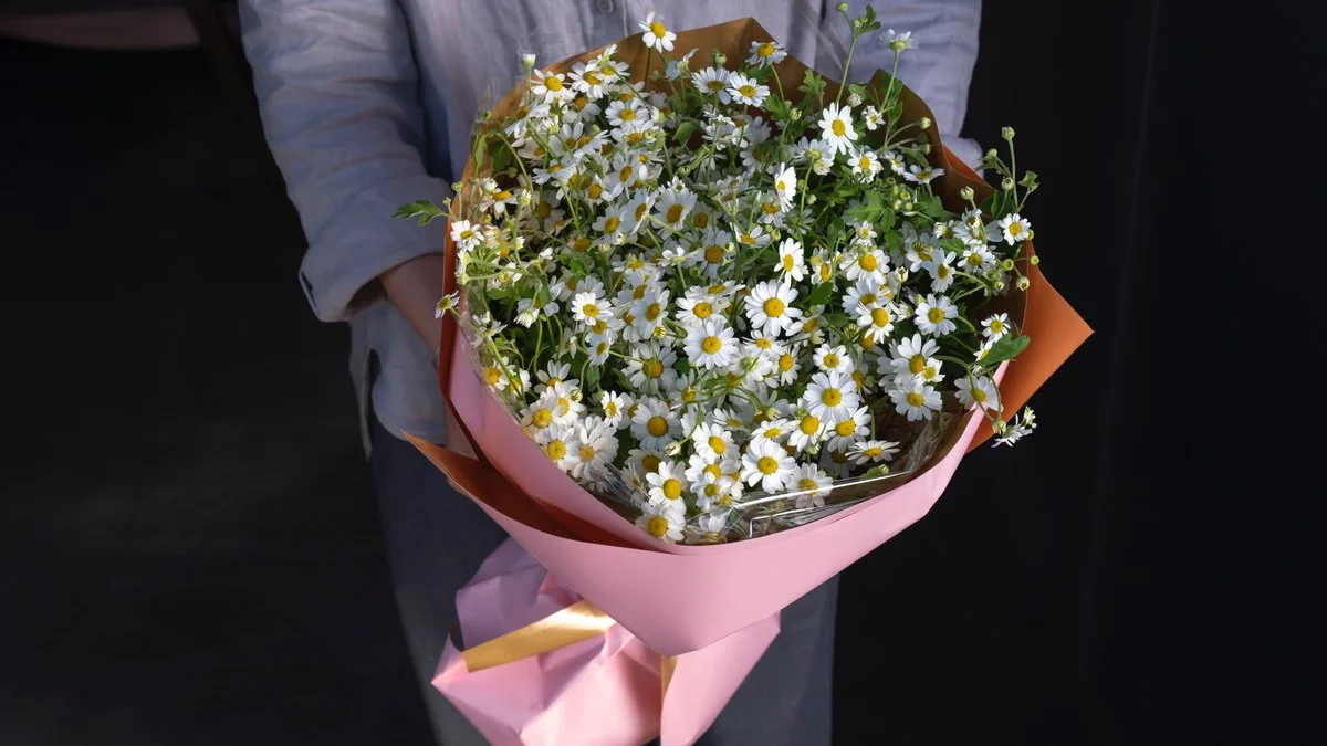 «Chamomile Paradise» — ромашки в розовой упаковке